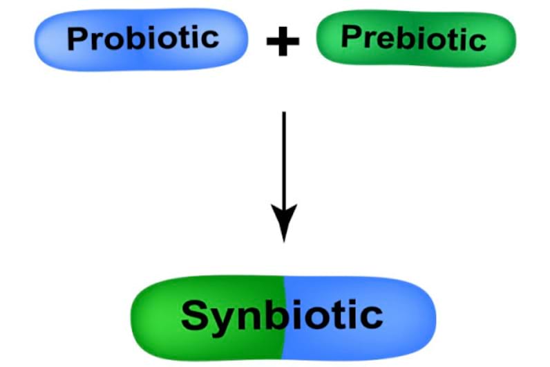 Prebiotice si probiotice: care sunt diferentele si ce roluri indeplinesc