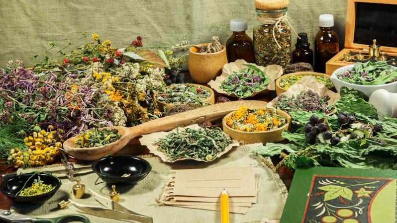 Fitoterapia sau ce poti trata cu ajutorul plantelor