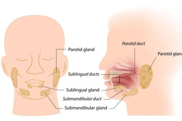 dureri de rinichi cauze si remedii articulațiile pot răni cu prostatita