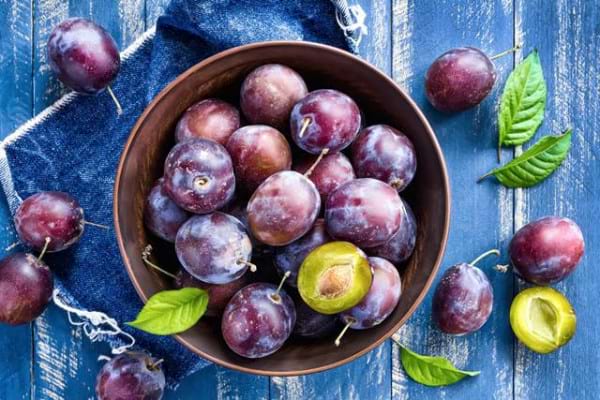 Prune Beneficii Recomandari Si Contraindicatii