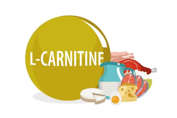 ALC (acetil-L-carnitina)