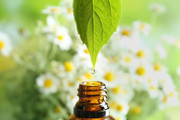 medicamente pe bază de plante anti-îmbătrânire pentru depresie masca de fata cu ovaz si miere