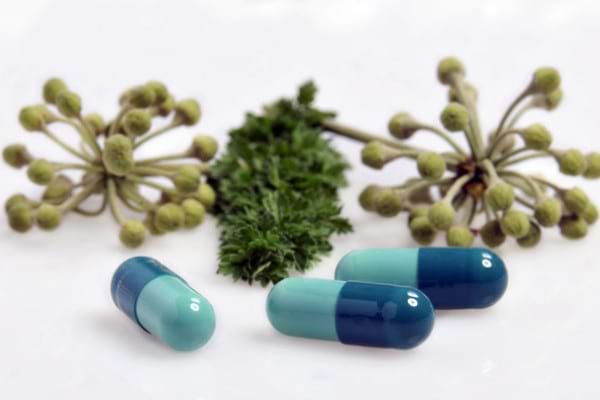 medicamente pe bază de plante anti-îmbătrânire pentru memorie