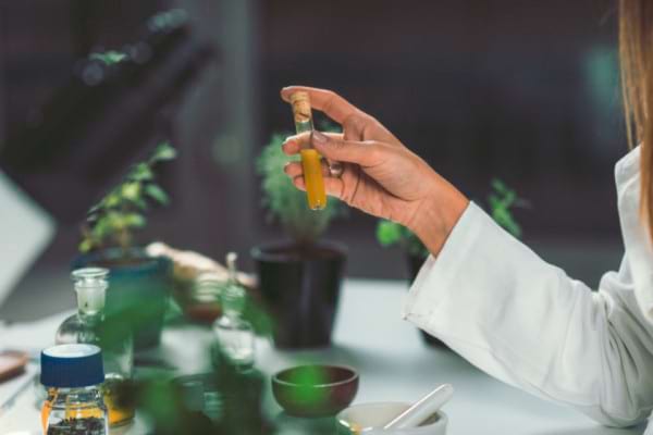 Tratamente Naturiste Remedii Din Plante Pentru Angina Pectorala