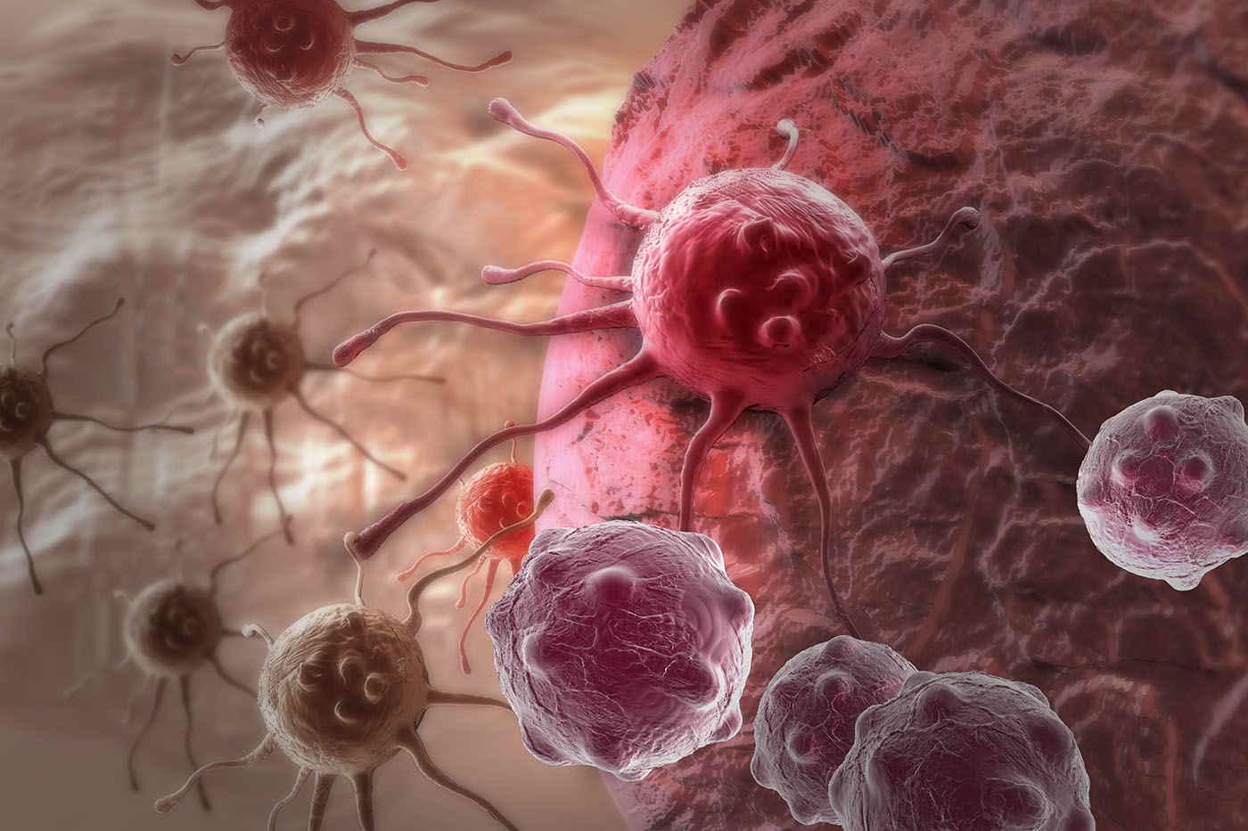 celule canceroase și anti-îmbătrânire sănătoasă