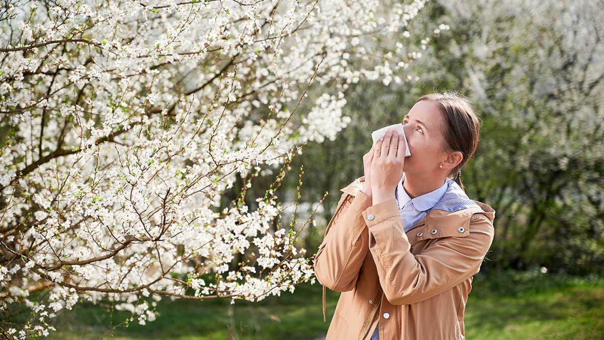  Induce Post  Alergia la polenul copacilor: factori declanșatori și remedii