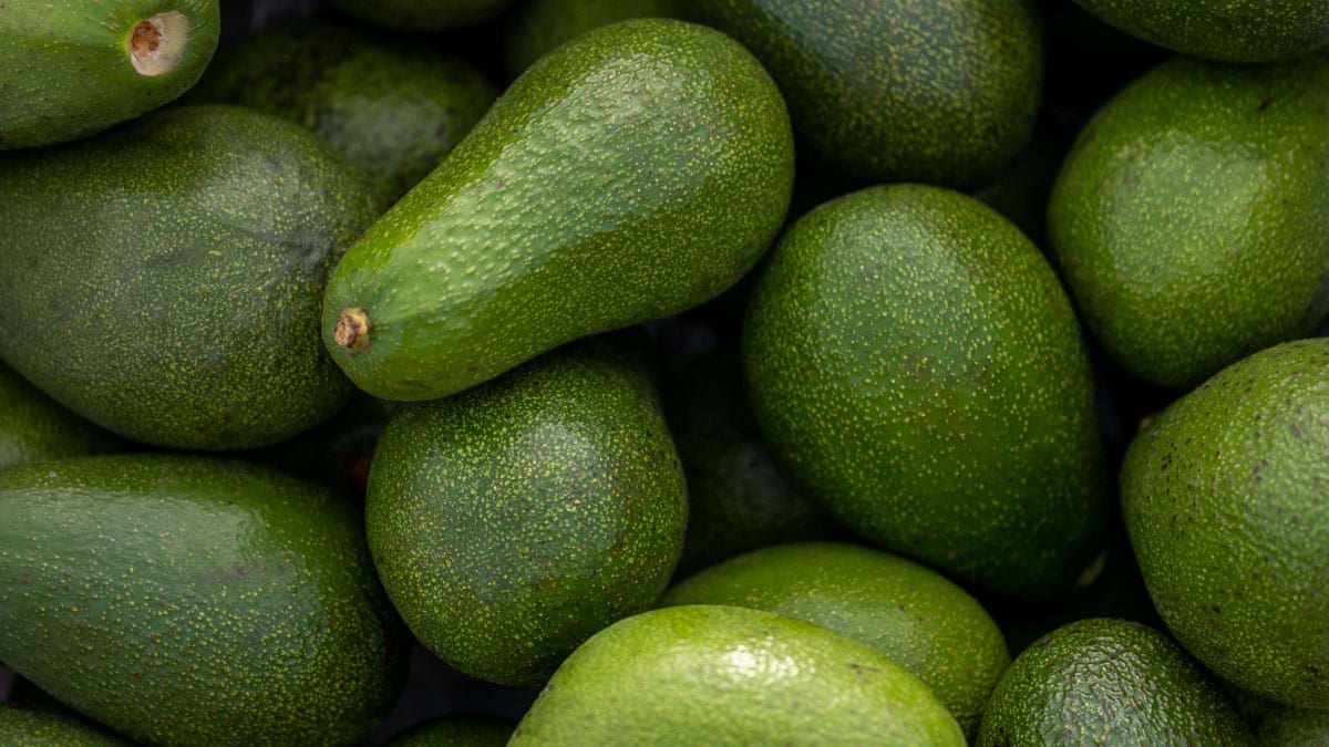 Coaja de avocado poate fi contaminata?