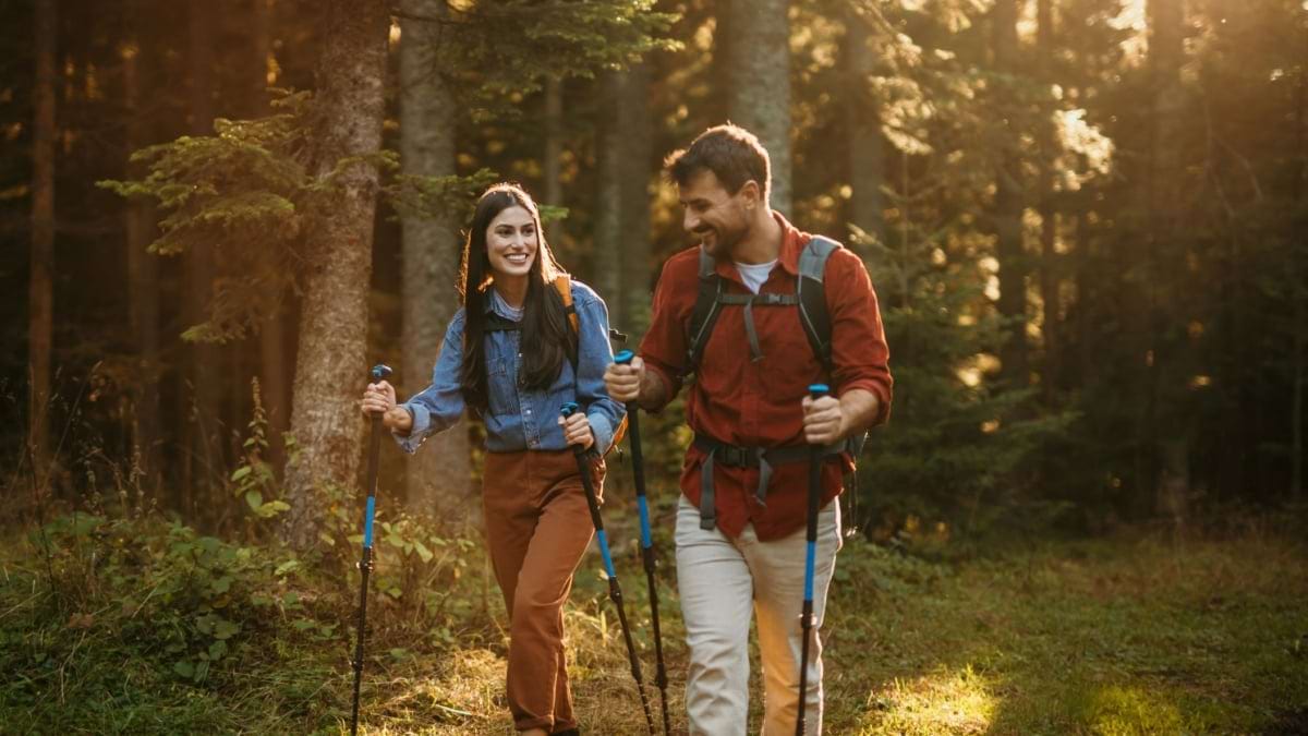 Energiile din natura: cum ne "incarcam" de la copaci si plante