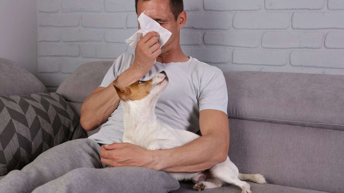 Alergia la câini și pisici: ce e bine să știi?