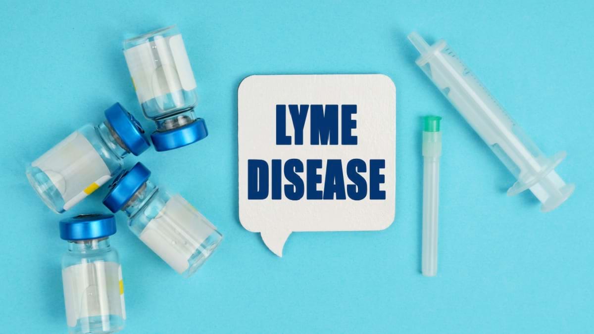 Vaccinul care ar putea sa te protejeze impotriva bolii Lyme