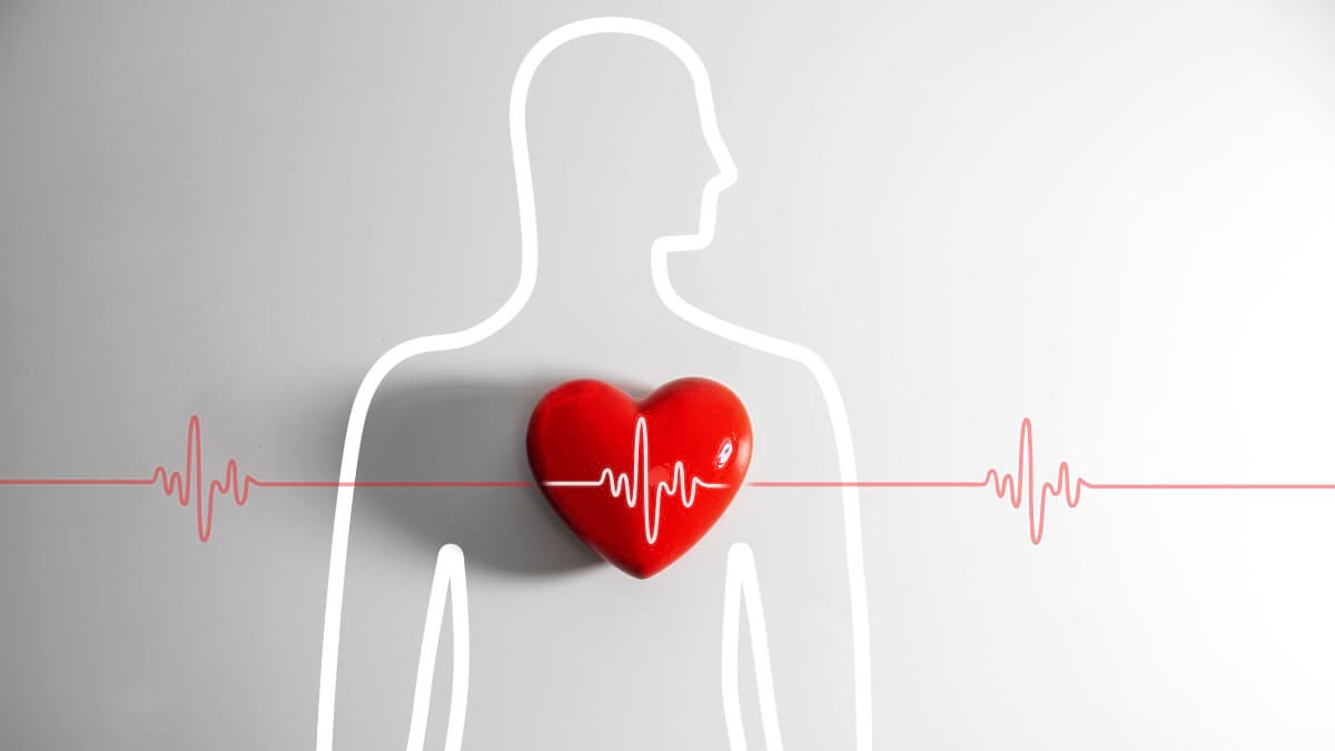 8 masuri simple care scad valoarea colesterolului LDL