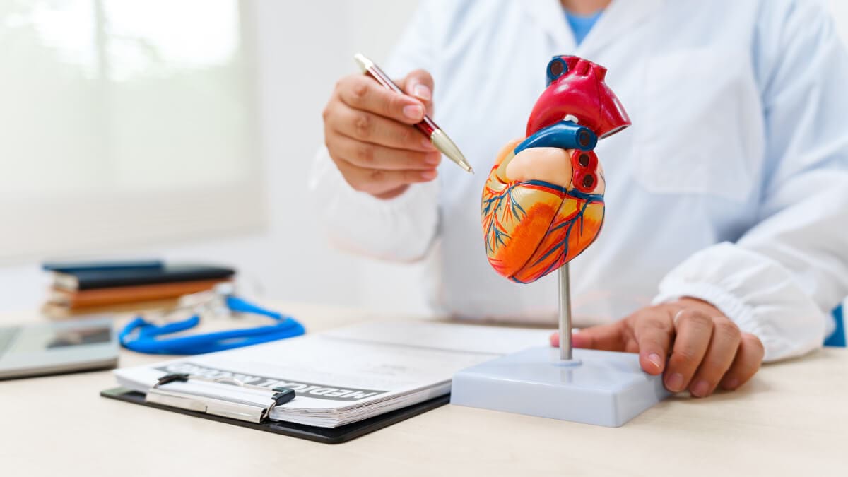 Factori cheie in ingrijirea bolilor cardiace: comunicarea si increderea