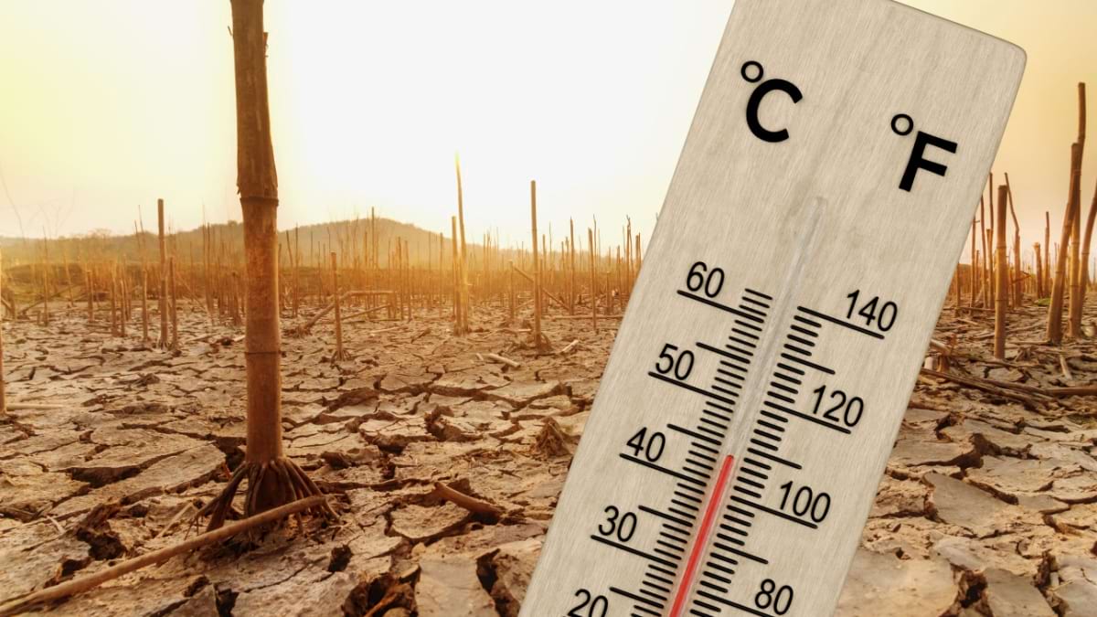 Cum influențează schimbările climatice sănătatea noastră?