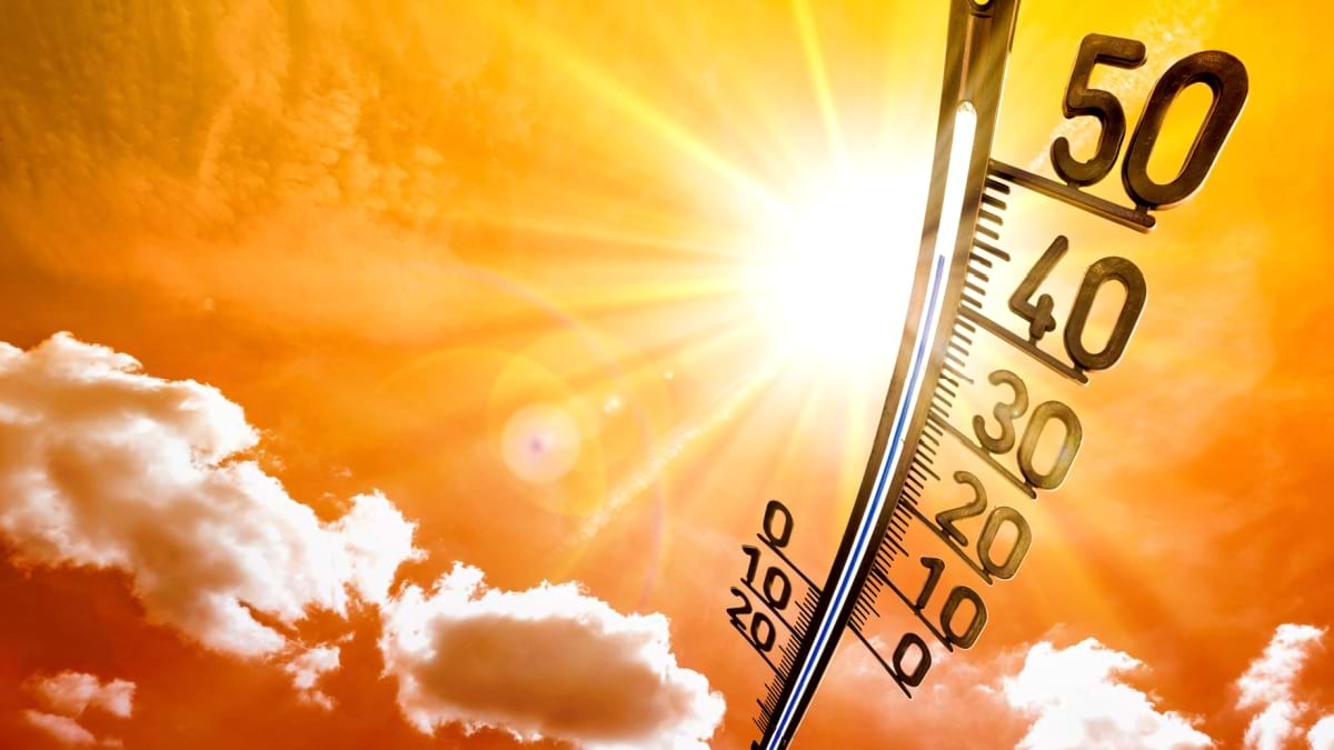 Schimbarile climatice: ce impact are incalzirea globala asupra sanatatii?