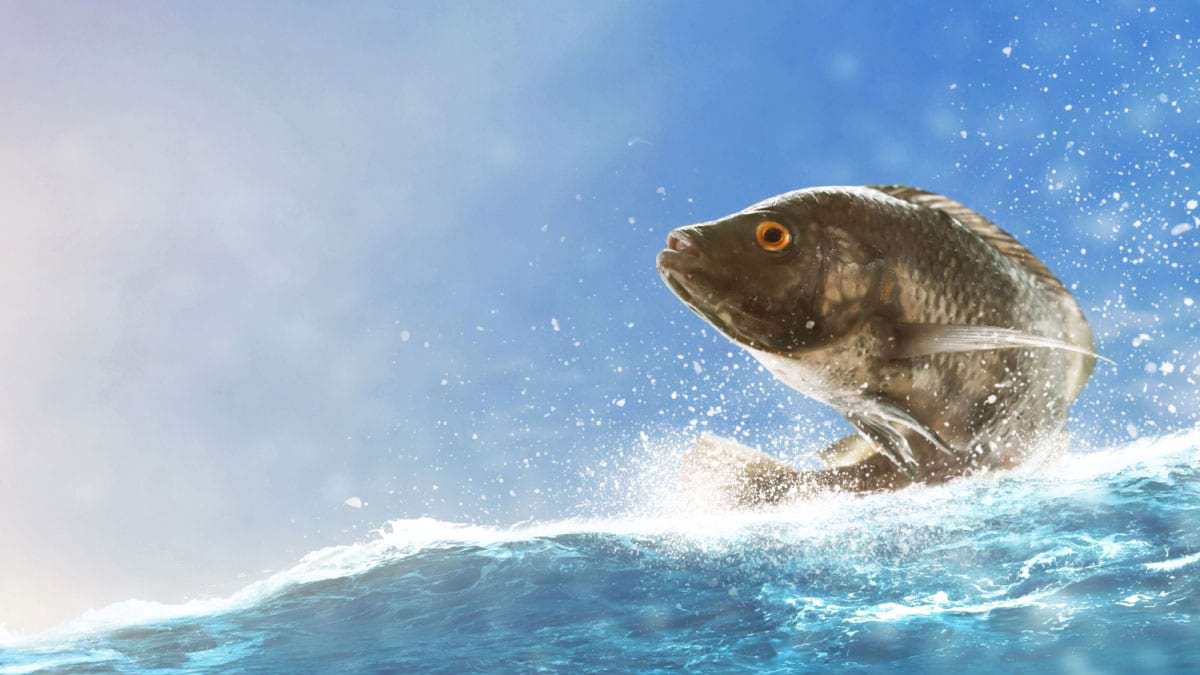 Pielea de peste Tilapia, folosita pentru tratarea arsurilor pielii