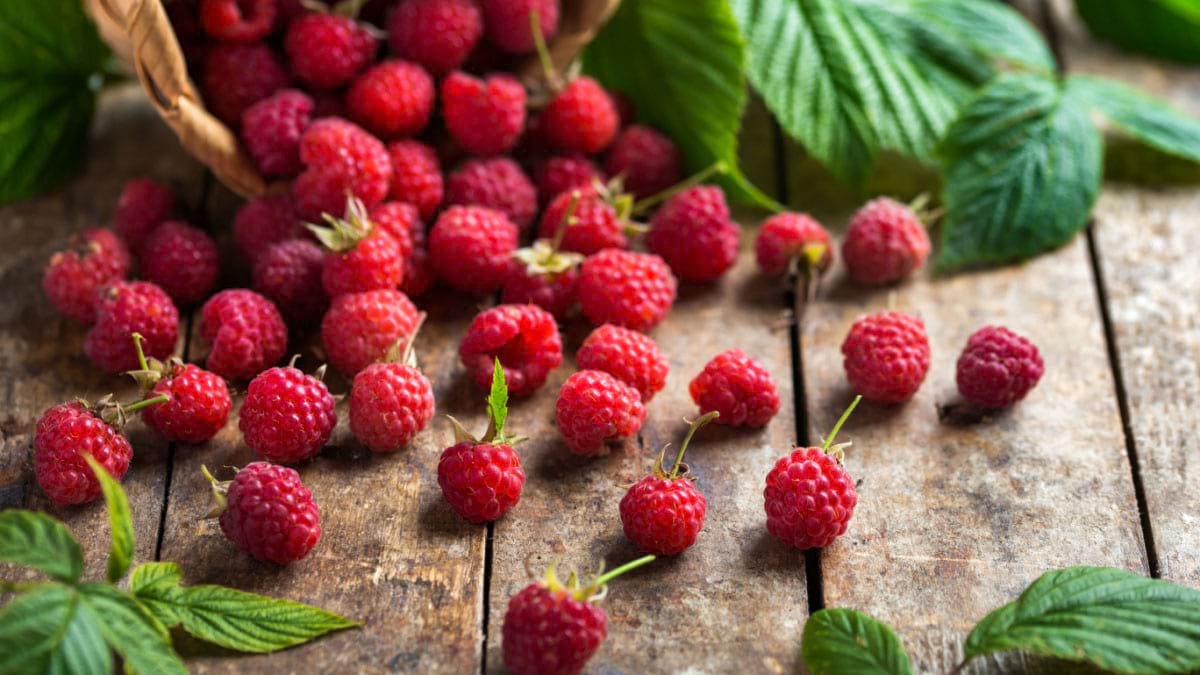 Ai pofta de ceva dulce? Incearca 5 retete apetisante cu zmeura