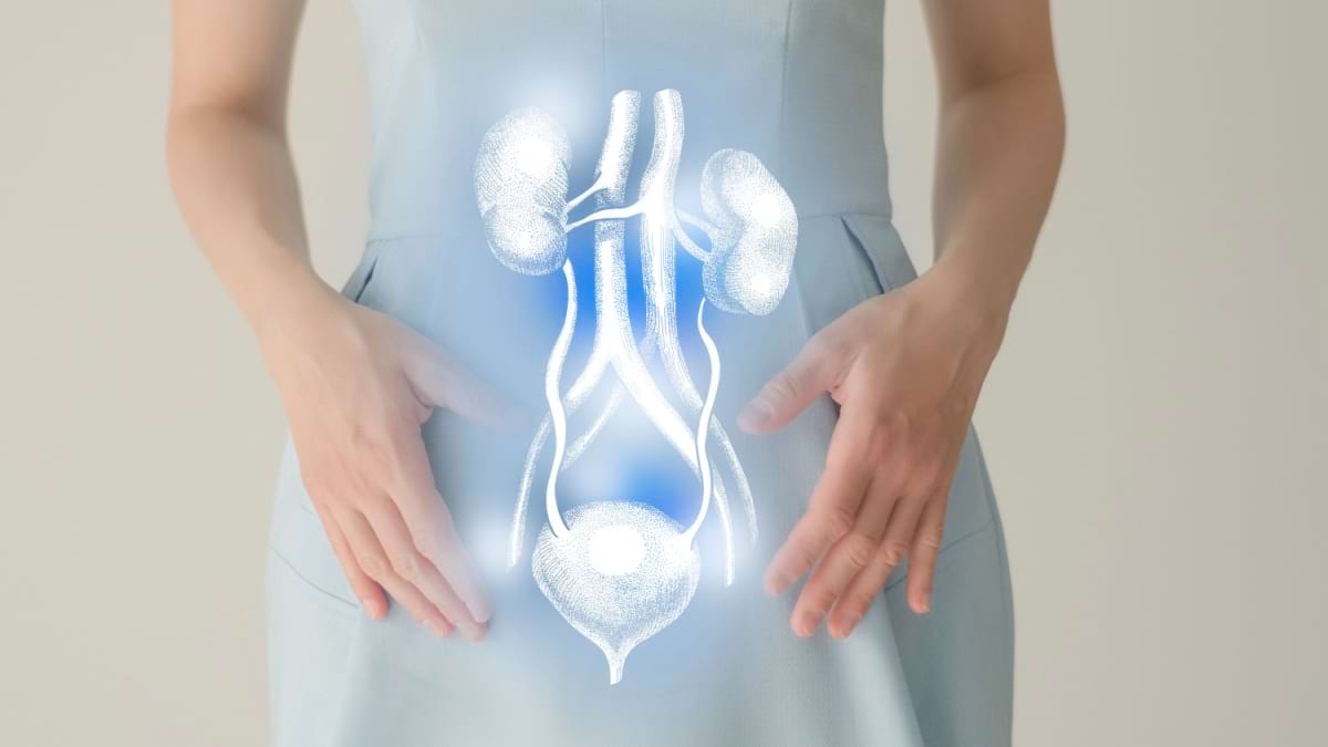 Uretra: funcții, rol, afecțiuni asociate