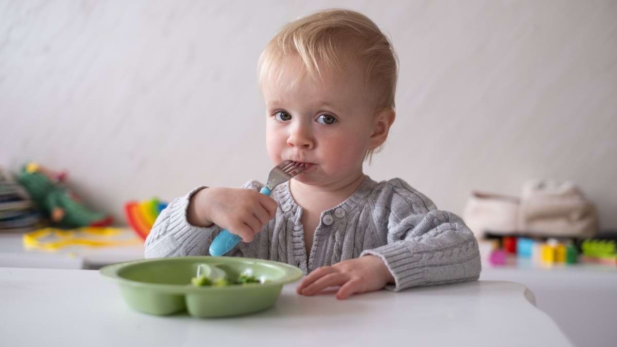 Alimentatia la copiii cu varste intre 1 si 3 ani: gustari sanatoase si grupe alimentare