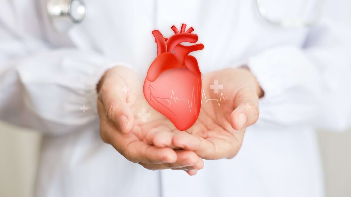 Cum sa ai grija de inima ta: factorii care cresc riscul de boli cardiovasculare