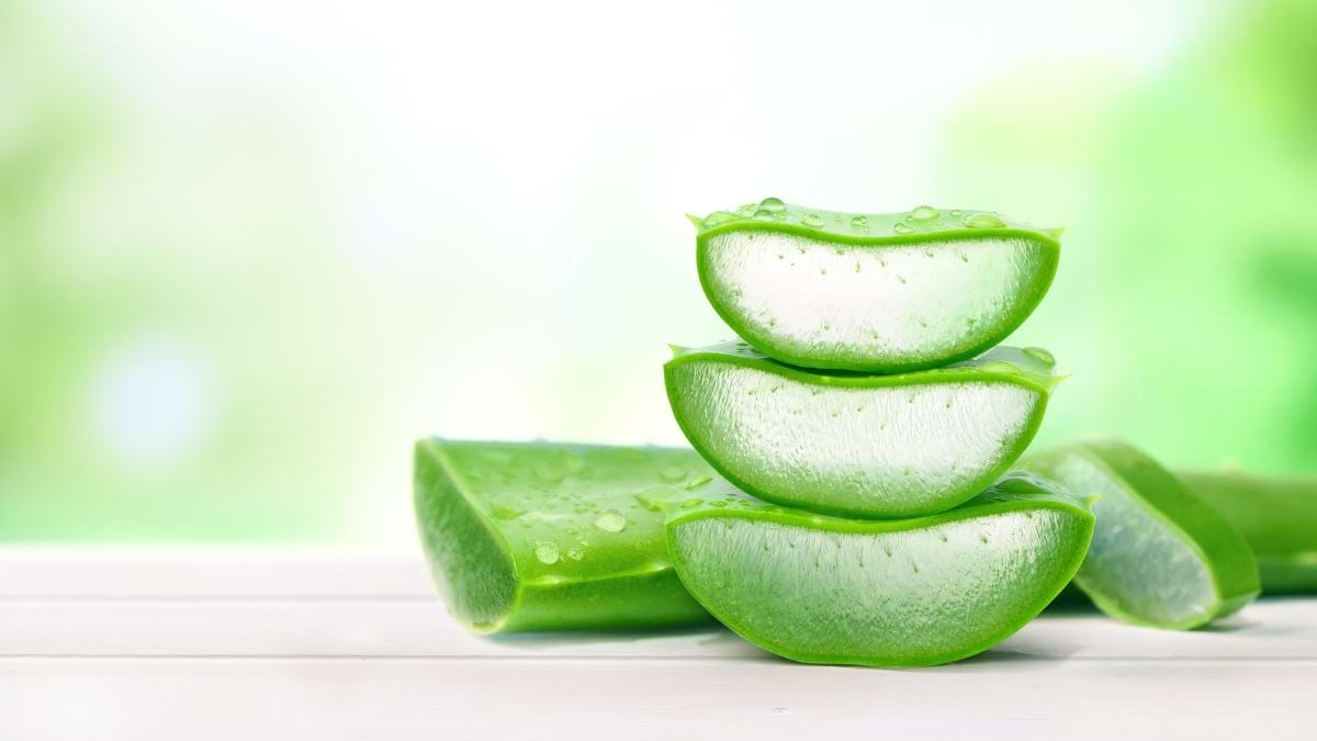 Cum să faci gel de aloe vera