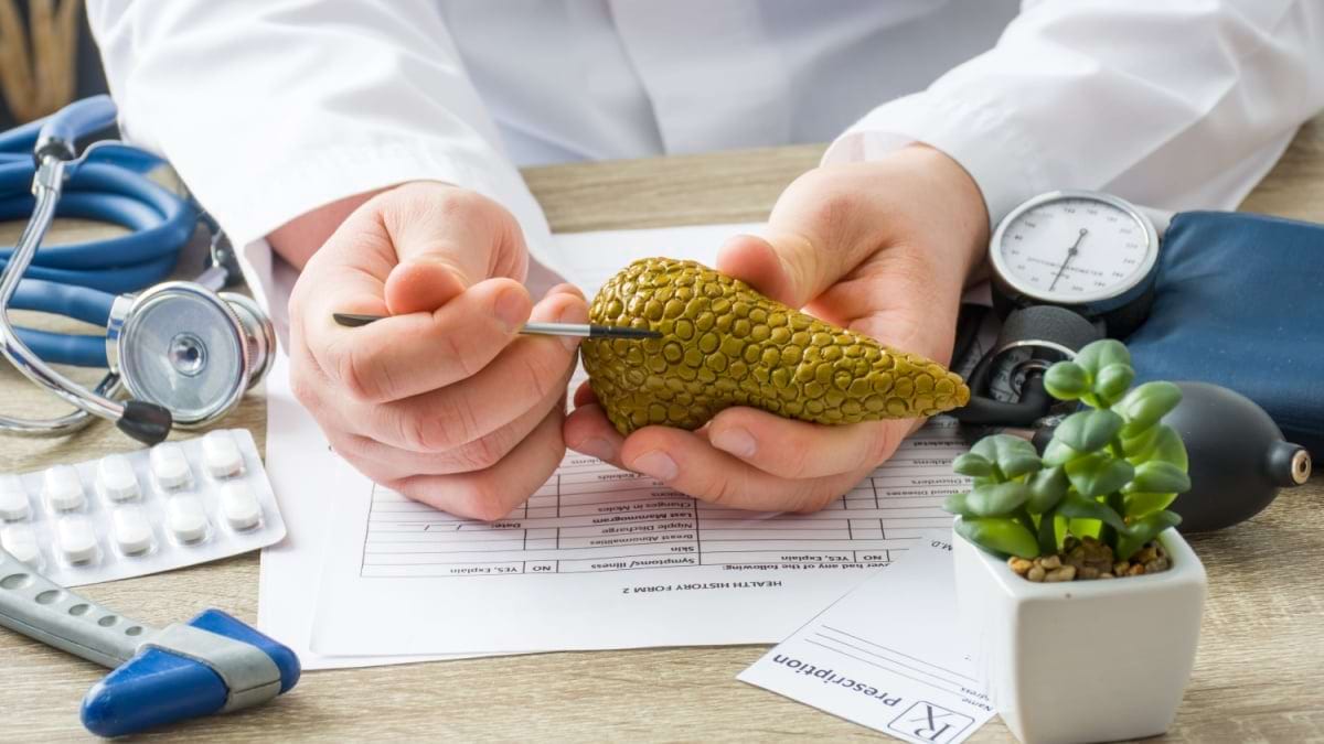 Ce rol are pancreasul în digestie?