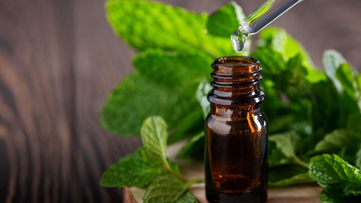 Proprietatile vindecatoare ale uleiului de menta