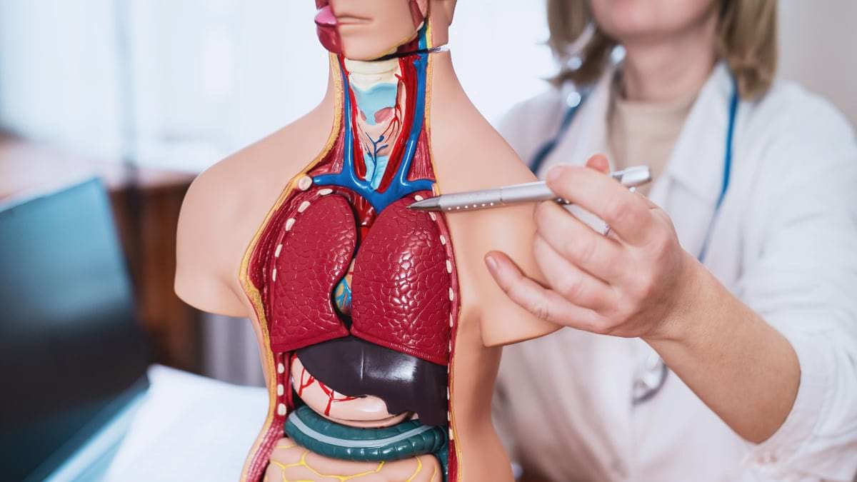 Simptome ale cancerului pulmonar: tipice, atipice, metastaze