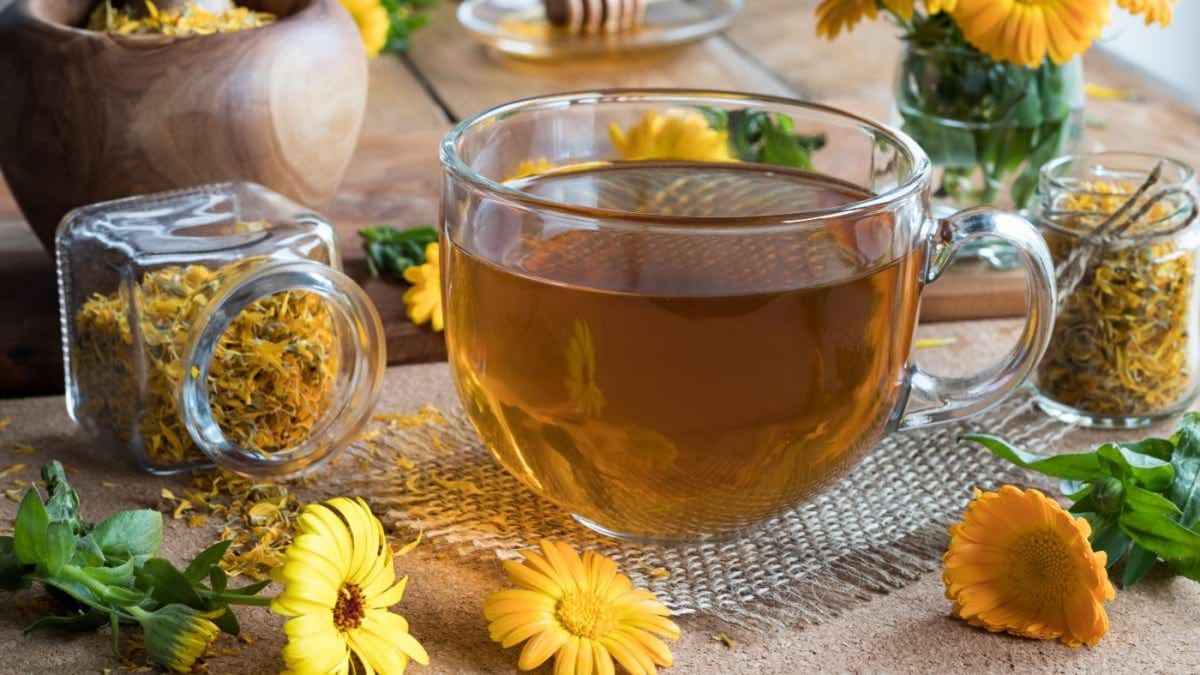 Ceaiul de gălbenele, balsam pentru organism