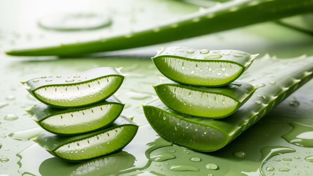 Aloe vera: cum o folosești pentru a scăpa de acnee