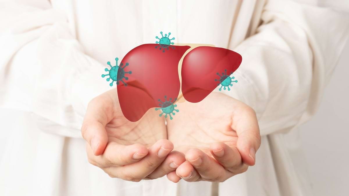 Ciclul de viata al virusului hepatitei C (HCV)