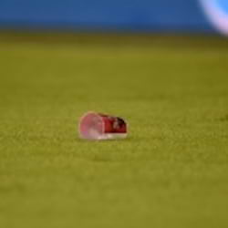 Nachhaltigkeit: Deutsche Umwelthilfe zeichnet TSG 1899 Hoffenheim aus