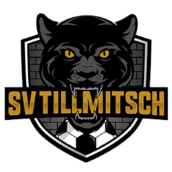Dramatisches Cupduell zwischen SV Tillmitsch und SKN St. P&ouml;lten