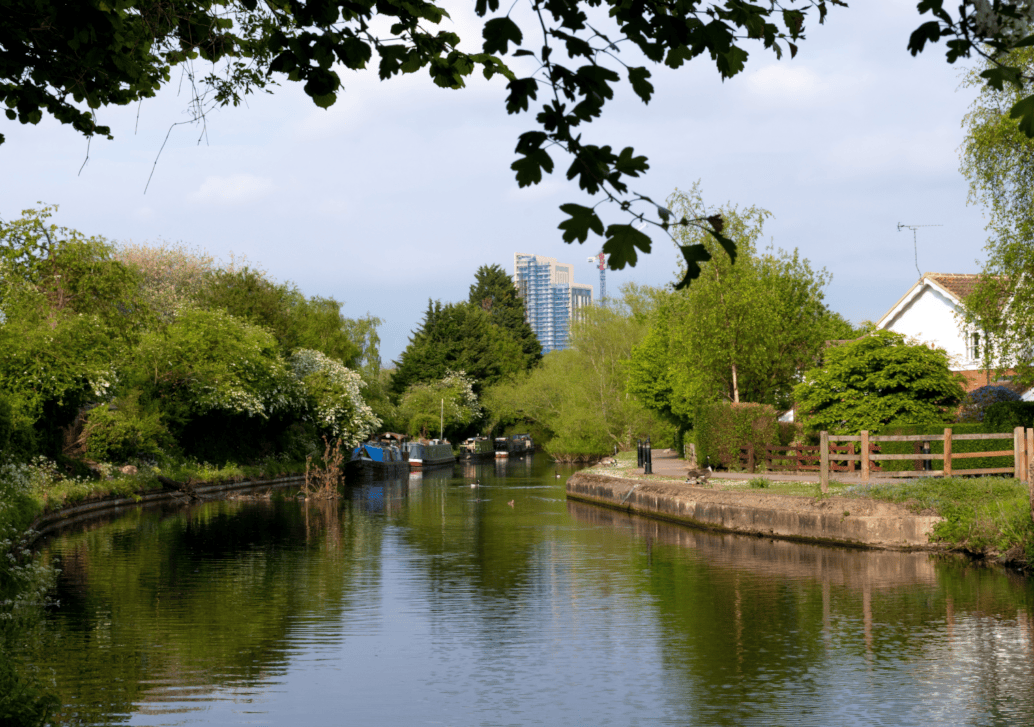 Watford