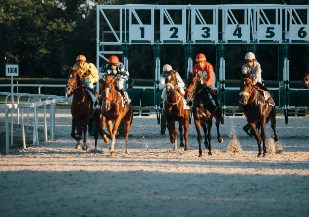 Race courses in Callow