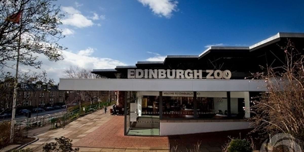 Edinburgh Zoo | United Kingdom