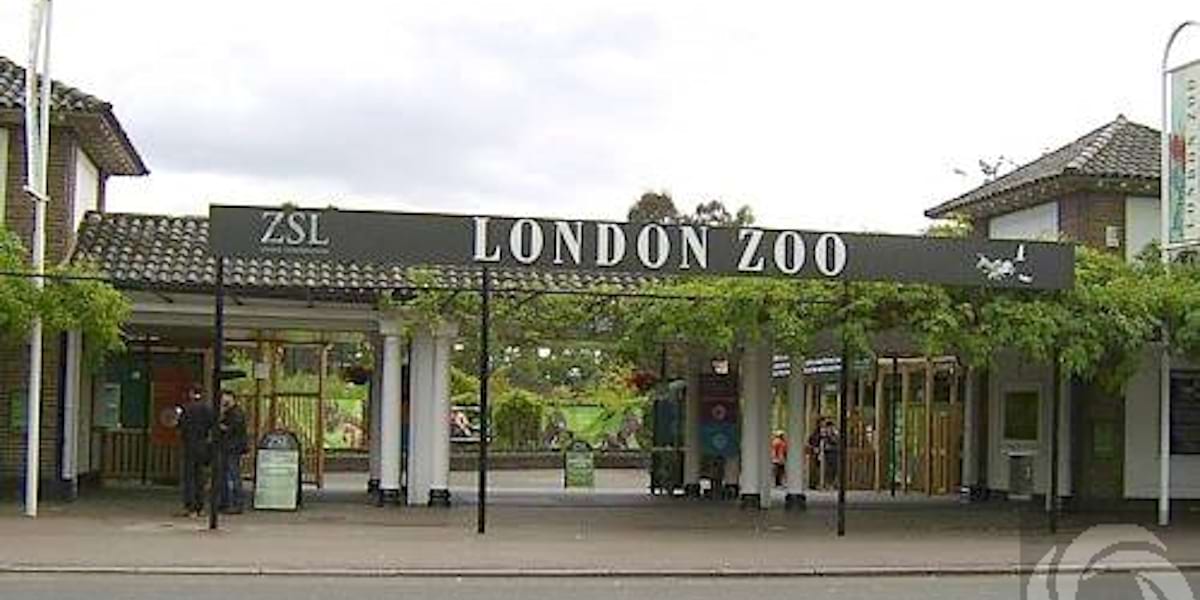 London Zoo United Kingdom london-zoo-united-kingdom