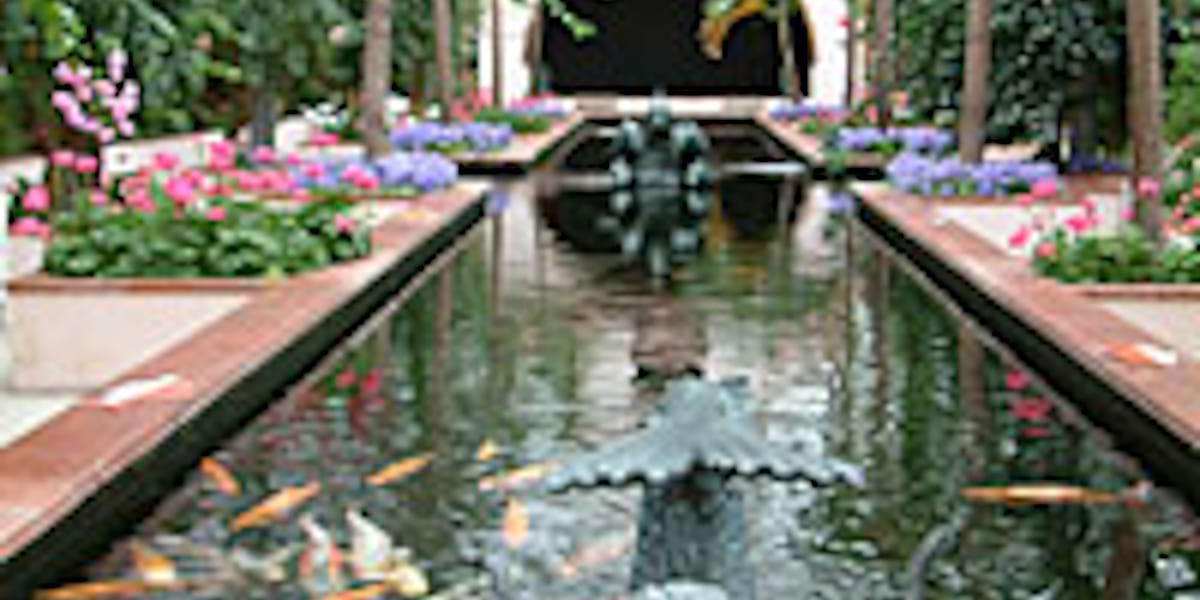 The Palms Tropical Oasis at Stapeley Water Gardens United Kingdom