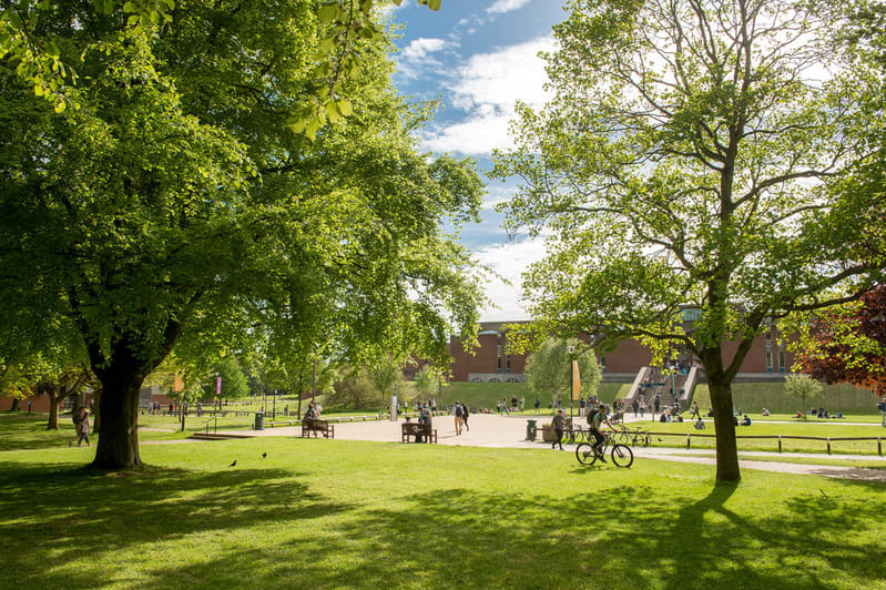 University of Sussex Students' Union