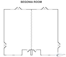 Begonia A or B