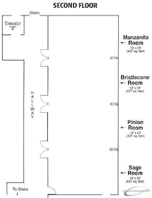 Manzanita, Bristle Cone, Pion or  Sage