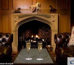 Bar Fireplace