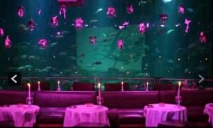Aquarium de Paris