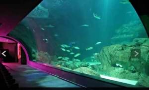 Aquarium de Paris