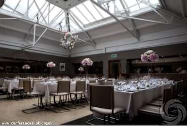 Bluebird Chelsea