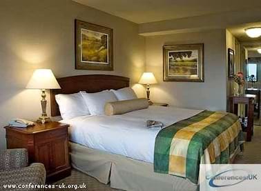 Hilton Concord