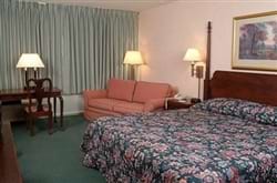 Guest
