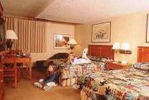 Guest