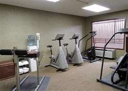 Fitness