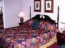 Guest