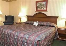 Guest